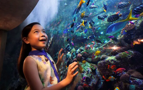 Atlantis Sanya Hotel-水族館