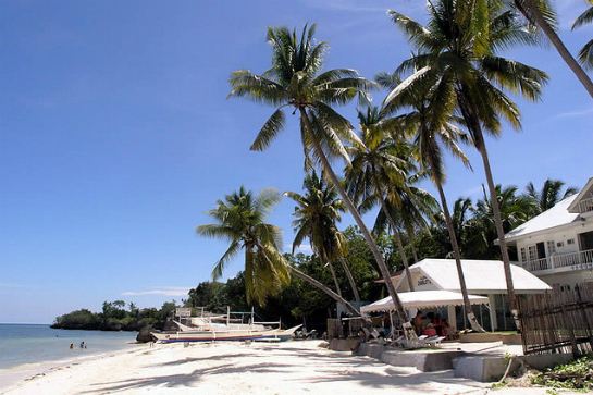 保和島一日遊(自費參加)