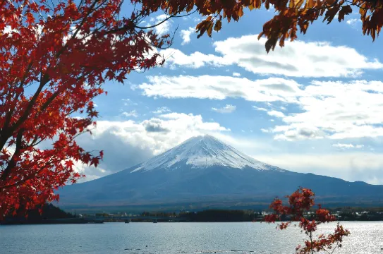 河口湖望富士山