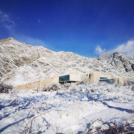 醉美寧夏、濃情內蒙‧銀川、中衛6天純玩團   西夏陵、四驅車三湖穿越+航拍短片、沙坡頭、納家戶清真寺、賀蘭山岩畫、銀川鳳凰幻城、鎮北堡西部影城、枸杞博物館、寧夏博物館