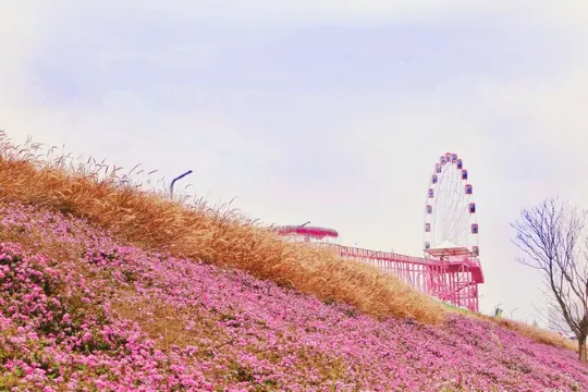 龍江歲月樂園(漳州版普羅旺斯)