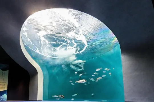 四國水族館@三豐市觀光交流局