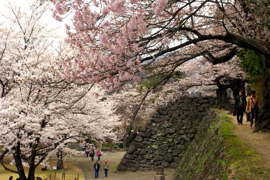 小諸城址懷古園
