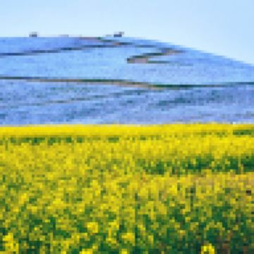 東京、茨城 春日5天賞景之旅  日立海濱公園浪漫花海、大洗磯前神社、絕美海上鳥居~神磯之鳥居、「世界三大高佛像」牛久大佛