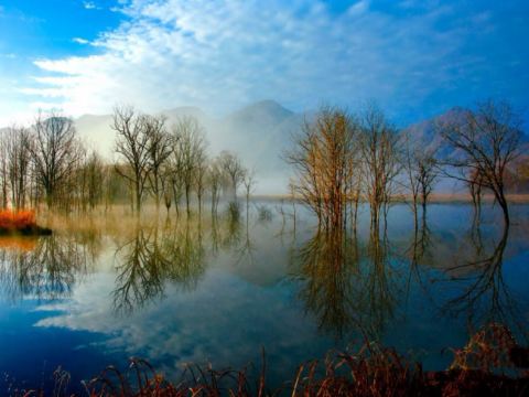 大九湖國家濕地公園
