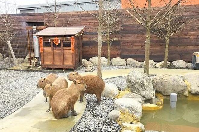 蘭陽動植物王國