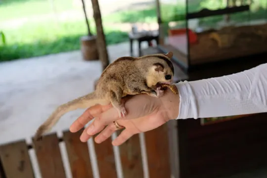 文冬休閒農場 動物