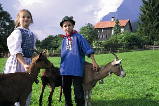 飄零燕～海迪之家