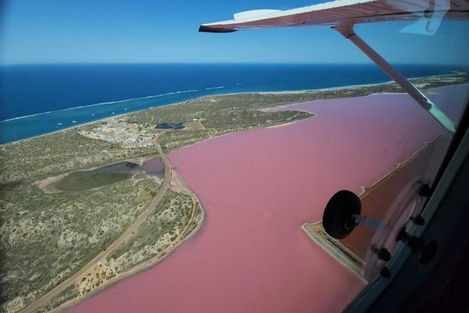 pink lake