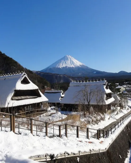 東京、茨城 冬日5天賞景之旅  大洗磯前神社、絕美海上鳥居~神磯之鳥居、「世界三大高佛像」牛久大佛、忍野八海、富士西湖合掌村、、川越小江戶、1晚富士山溫泉酒店
