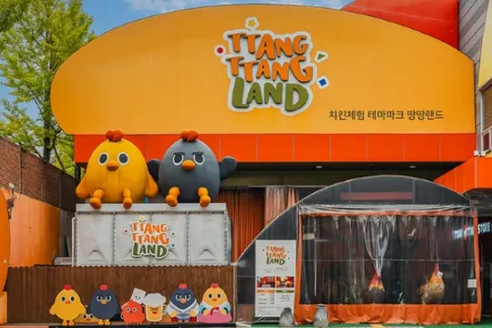 TTANG TTANG LAND炸雞DIY體驗