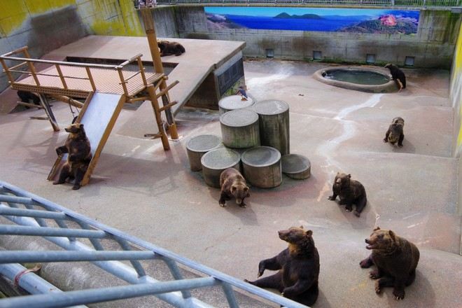 昭和新山熊牧場