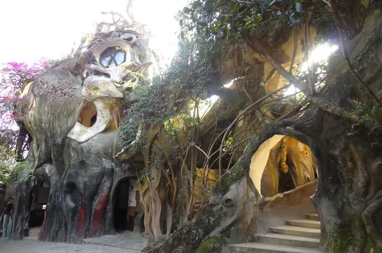 CRAZY HOUSE