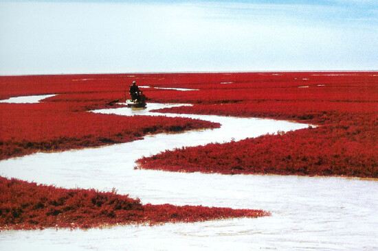 紅海灘國家風景廊道