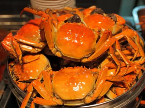 任吃現蒸大閘蟹宴