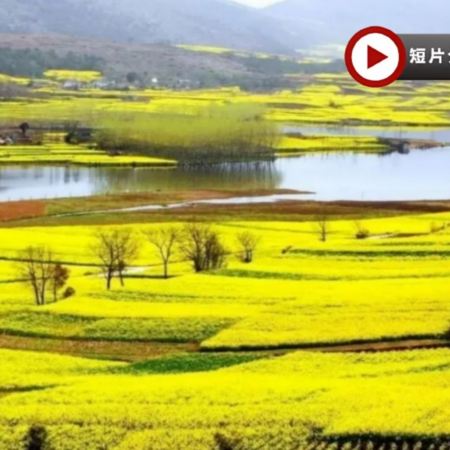 【5鑽】 醉美花季‧西安  5天賞花純玩團  漢中百萬畝油菜花海、青龍寺賞櫻花、龍頭山(包扶梯輕鬆上下山)、大型水上實景演出《天漢傳奇》、秦始皇兵馬俑《世界文化遺產》、大唐不夜城、永興坊