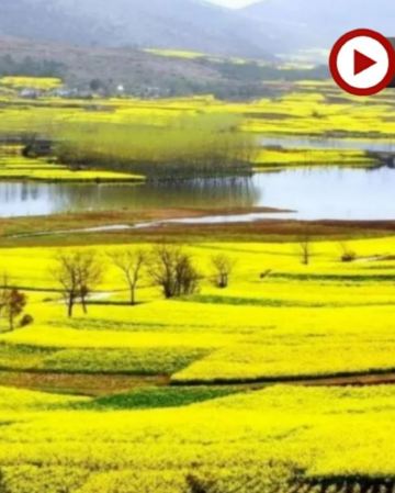 【季節限定】🌸 醉美花季‧西安🌸 5天賞花純玩團 龍頭山(包扶梯輕鬆上下山)、漢中百萬畝油菜花海、青龍寺賞櫻花、大型水上實景演出《天漢傳奇》、秦始皇兵馬俑《世界文化遺產》、大唐不夜城、永興坊