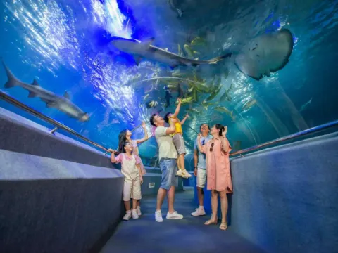 芽莊VinWonders珍珠島