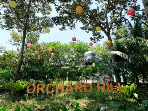 Orchard Hill
