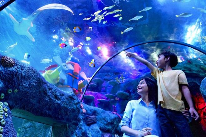 Sea Life 海洋探索中心