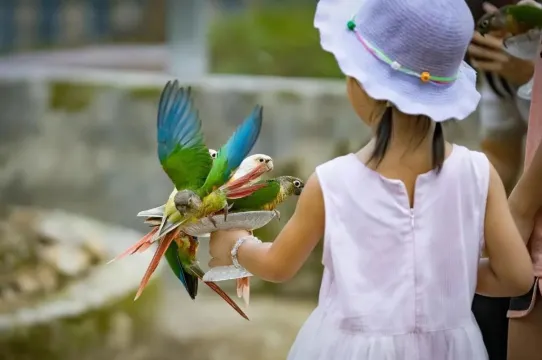 三水.松鼠部落.萌寵樂園