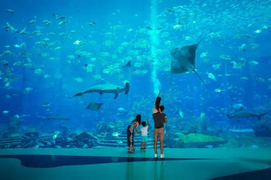 失落的空間水族館