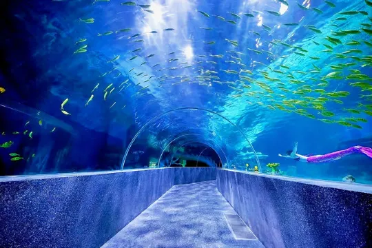 中魚視界海洋王國