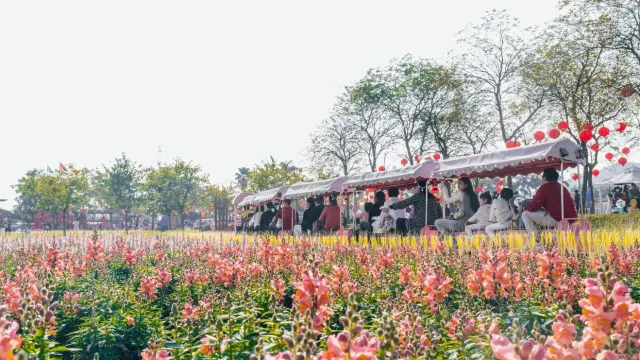 高明盈香生態園