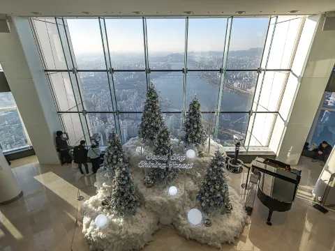 樂天世界塔 Seoul Sky