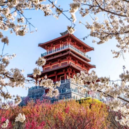 【西九高鐵直達鄭州】中原古都 (河南、西安) 6天高鐵團    登封(天下第一名剎~少林寺)、 洛陽(世界文化遺產~龍門石窟)、三門峽(中國神秘古村落~陝州地坑院)、西安(兵馬俑博物館)