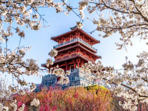 【西九高鐵直達鄭州】中原古都 (河南、西安) 6天高鐵團    登封(天下第一名剎~少林寺)、 洛陽(世界文化遺產~龍門石窟)、三門峽(中國神秘古村落~陝州地坑院)、西安(兵馬俑博物館)