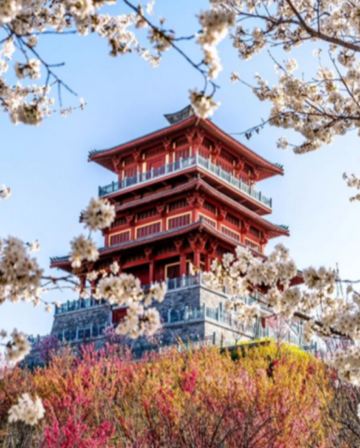 【西九高鐵直達鄭州/西安】中原古都 (河南、西安) 6天高鐵團   登封(天下第一名剎~少林寺)、 洛陽(世界文化遺產~龍門石窟)、三門峽(中國神秘古村落~陝州地坑院)、西安(兵馬俑博物館、西安城墻)