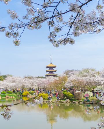 <全包登岸觀光>🌸春賞粉櫻🌸醉美花海🌸長江三峽、武漢賞櫻、重慶、宜昌7天團《榮耀/凱歌~行政套房》三峽大壩升船機、東湖磨山櫻花園、豐都鬼城、神女溪、《烽煙三國》大型實景演出、洪崖洞吊腳樓