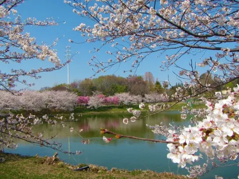 花博記念公園鶴見綠地~風車之丘