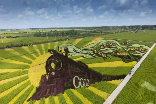 紅海灘稻夢空間