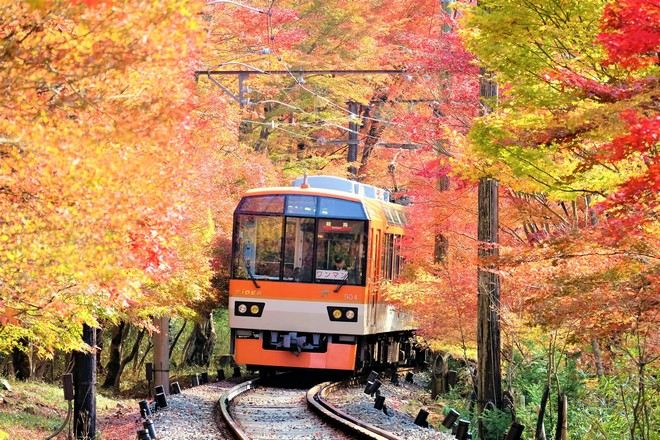 叡山紅葉列車