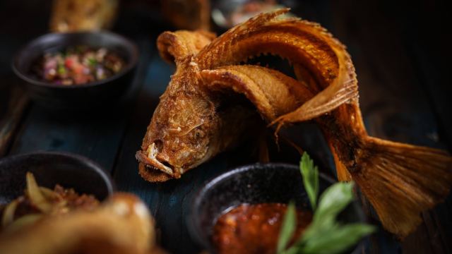 【米芝蓮推介餐廳】Dancing Fish