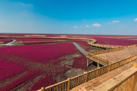 紅海灘國家風景廊道