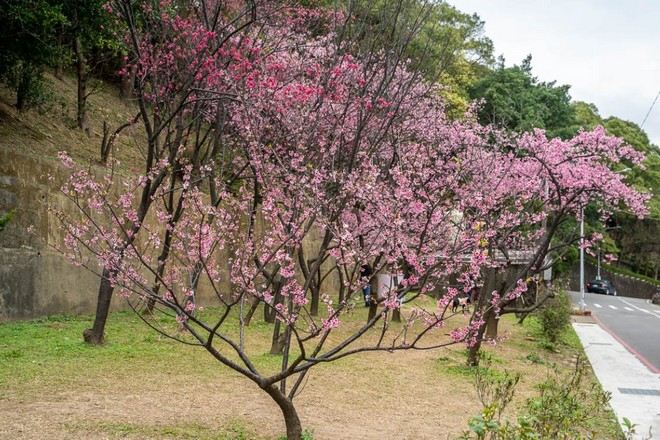 桃園壽山巖觀音寺