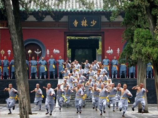 【5鑽】【國泰航空】【皇牌】中原古都 ~河南+西安5天升純團  登封(少林寺賞銀杏🍂)、 洛陽(龍門石窟) 、西安(天下第一山~華山、秦始皇兵馬俑、小雁塔)【保證安排2+1座位旅遊巴及廣東話導遊】