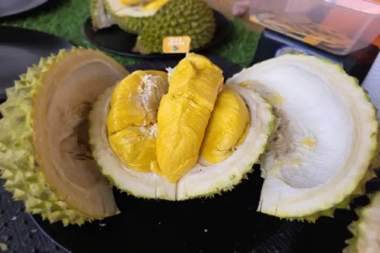 品嚐各種名貴榴槤任食