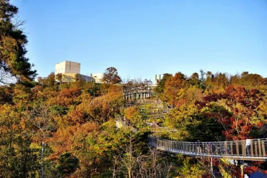 愛妓峰和平生態公園(懸索吊橋) 秋
