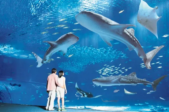 海洋博公園