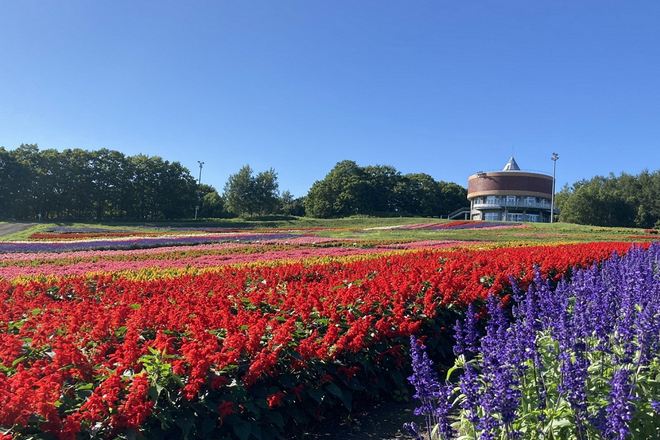 網走花之天堂 Hana‧Tento