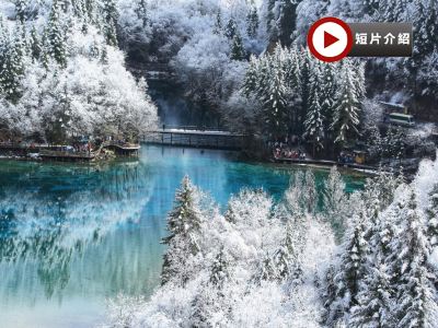 《九寨溝‧牟尼溝皇牌》邂逅人間仙境～九寨溝(童話世界)、牟尼溝、成都大熊貓繁育研究基地(觀賞國寶熊貓)、錦里、寬窄巷子6天豪華團