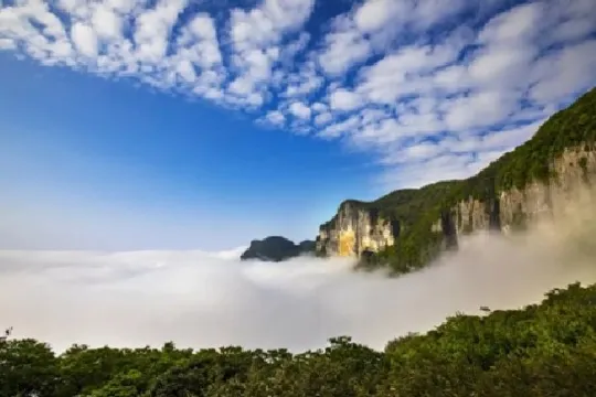 金佛山國家森林公園