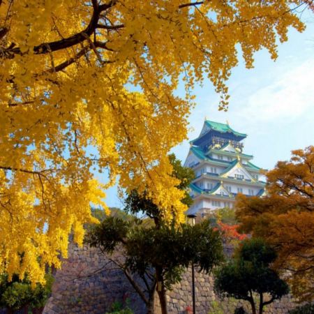 京阪神 古風秋色6天寫意之旅 「賞紅葉名所」及「海の京都」天橋立~傘松公園(包吊椅/單軌電車)、賞紅葉(嵐山風景區~渡月橋、紀三井寺)、一天自由活動