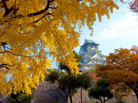 京阪神 古風秋色6天寫意之旅 「賞紅葉名所」及「海の京都」天橋立~傘松公園(包吊椅/單軌電車)、賞紅葉(嵐山風景區~渡月橋、紀三井寺)、一天自由活動 京阪神 古風秋色6天寫意之旅 「賞紅葉名所」及「海の京都」天橋立~傘松公園(包吊椅/單軌電車)、賞紅葉(嵐山風景區~渡月橋、紀三井寺)、一天自由活動