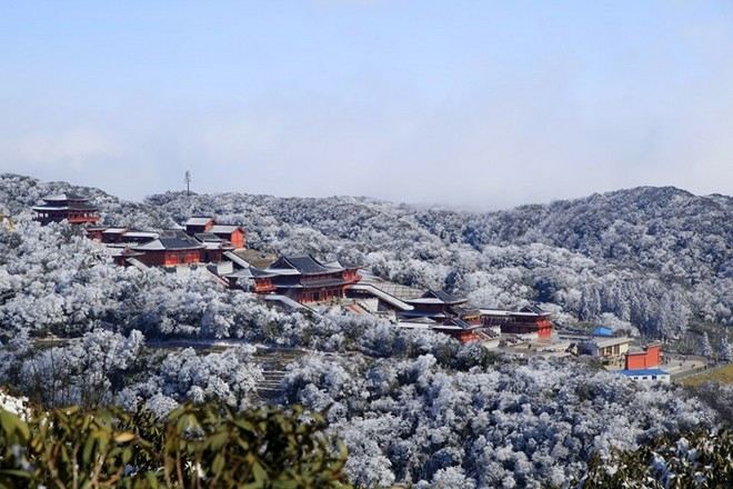 金佛山國家森林公園