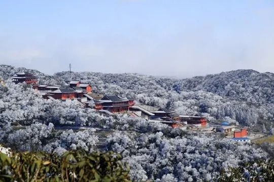 金佛山國家森林公園